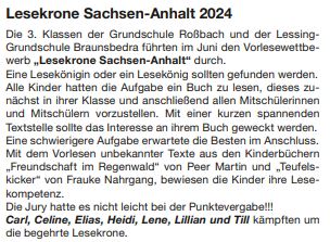 lesekrone_2024_1.jpg